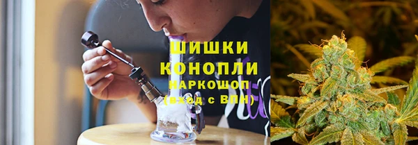 сатива Магадан