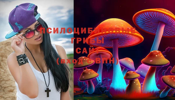 МДМА Лагань
