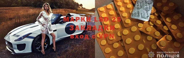 сатива Магадан