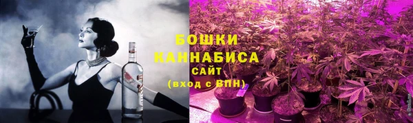 сатива Магадан