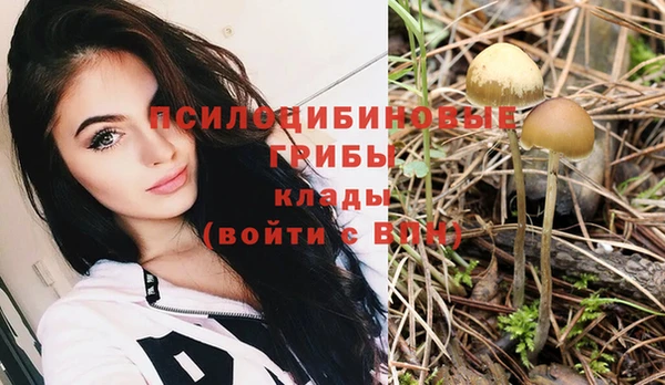 сатива Магадан