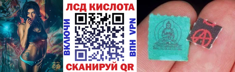 Купить где  Бабушкин  Марки NBOMe 1500мкг 
