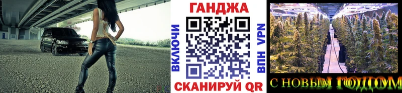 Бошки Шишки гибрид  Купить где  Бабушкин 